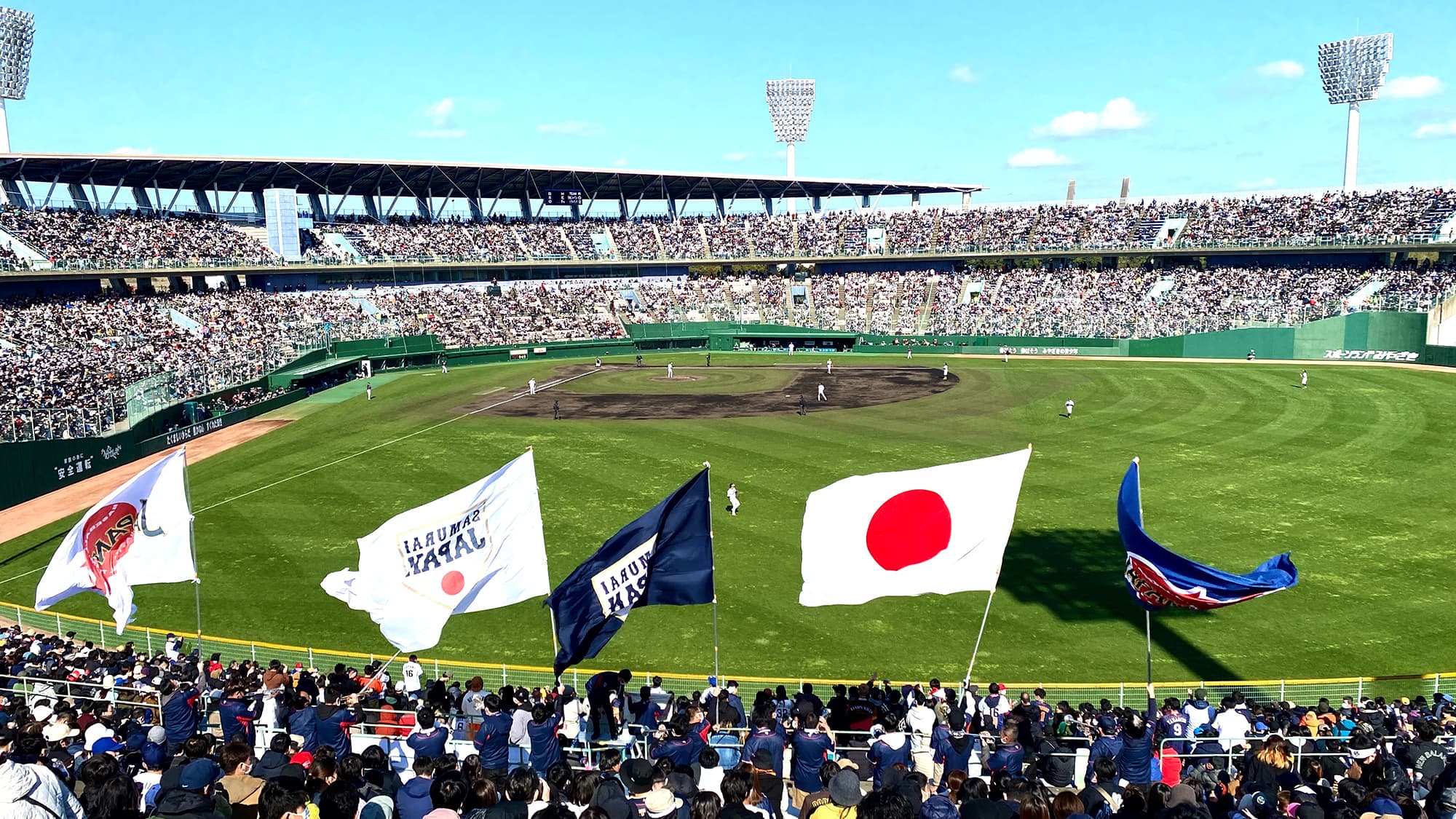 宮崎県野球協議会