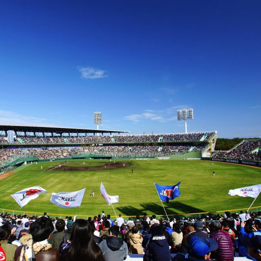 甲子園出場校】大阪府立桜宮高校野球部ユニフォーム Oサイズ